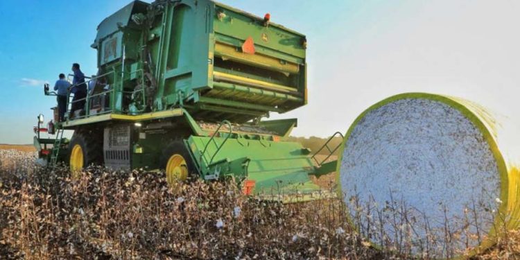 Governo de Rondônia registra aumento de 42% nas exportações em 2022; China e Espanha têm maior parceria Governo de Rondônia registra aumento de 42% nas exportações em 2022; China e Espanha têm maior parceria