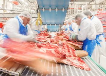 Frigorífico de Rondônia recebe selo que permite venda de produtos de origem animal em todo o país
