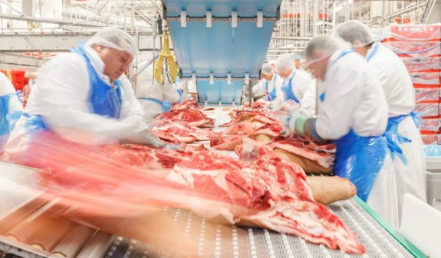 Frigorífico de Rondônia recebe selo que permite venda de produtos de origem animal em todo o país Frigorífico de Rondônia recebe selo que permite venda de produtos de origem animal em todo o país