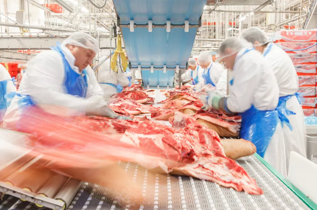 Frigorífico de Rondônia recebe selo que permite venda de produtos de origem animal em todo o país Frigorífico de Rondônia recebe selo que permite venda de produtos de origem animal em todo o país