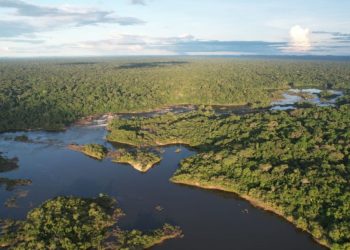 Greener: Token focado no ESG e preservação ambiental revoluciona o mercado de créditos de carbono no Brasil Greener: Token focado no ESG e preservação ambiental revoluciona o mercado de créditos de carbono no Brasil
