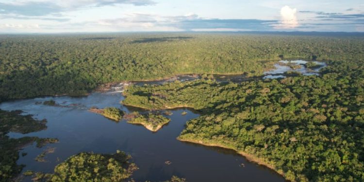 O Novo Pré Sal Verde! A nova comodites será a conservação da Biodiversidade!