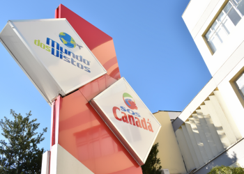 Saiba a importância de contratar uma assessoria para vistos consulares