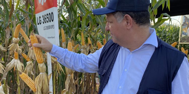 Rondônia e o desafio do desenvolvimento sustentável: O equilíbrio entre economia, social e meio ambiente – Por Pedro Fernandes Rondônia e o desafio do desenvolvimento sustentável: O equilíbrio entre economia, social e meio ambiente – Por Pedro Fernandes