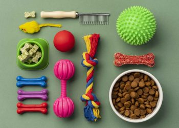  8 acessórios necessários para seu pet