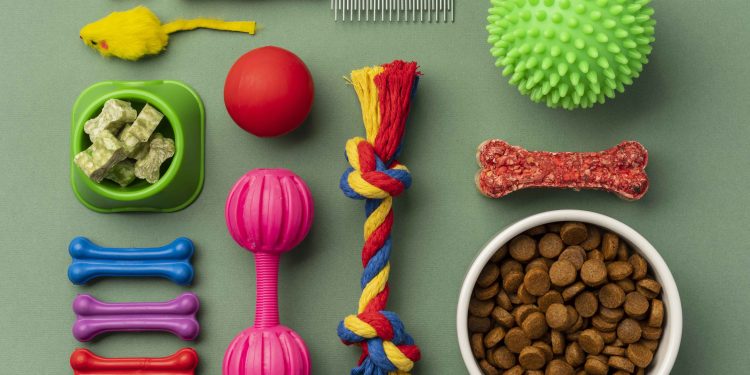  8 acessórios necessários para seu pet