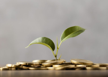 Qual o investimento mais seguro para se fazer em 2023?