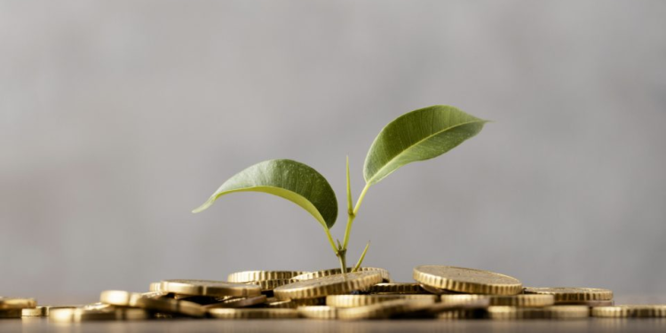 Qual o investimento mais seguro para se fazer em 2023? Qual o investimento mais seguro para se fazer em 2023?