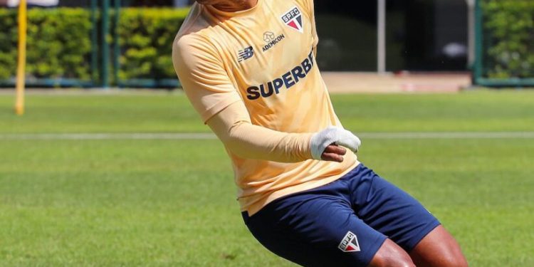 São Paulo F.C. – Tricolor inicia preparação para a estreia na CONMEBOL Libertadores São Paulo F.C. – Tricolor inicia preparação para a estreia na CONMEBOL Libertadores