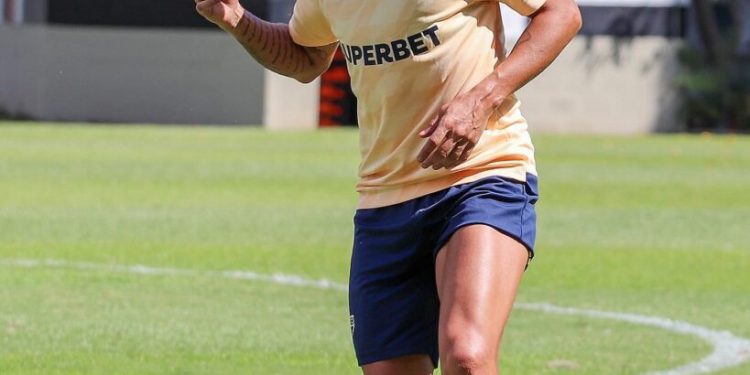 São Paulo F.C. – Elenco dá sequência aos preparativos para a estreia na CONMEBOL Libertadores São Paulo F.C. – Elenco dá sequência aos preparativos para a estreia na CONMEBOL Libertadores