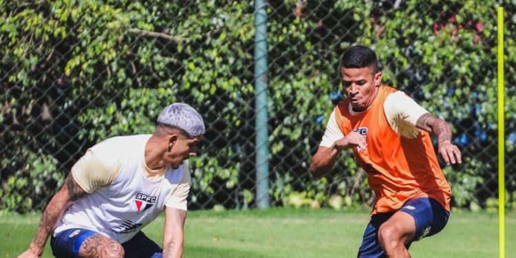 São Paulo F.C. – Elenco se reapresenta e inicia preparação para enfrentar o Vasco São Paulo F.C. – Elenco se reapresenta e inicia preparação para enfrentar o Vasco