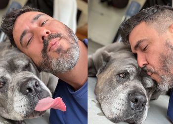 Cachorra de André Marques é homenageada na nova música dos “Poti Poti”