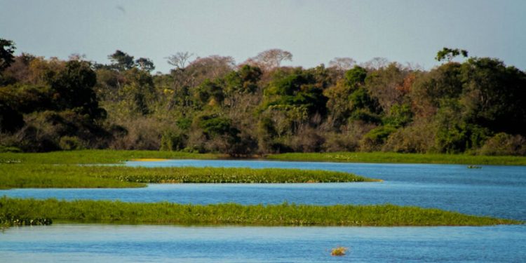 Rondônia dispara na produção agro e ao mesmo tempo é destaque na redução do desmatamento no Brasil Rondônia dispara na produção agro e ao mesmo tempo é destaque na redução do desmatamento no Brasil