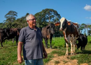 Vacas produzem mais leite em Rondônia com alimentação diferenciada e mudam realidade do campo
