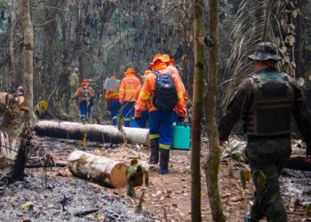 Governo de RO intensifica o combate às queimadas com educação ambiental e fiscalizações Governo de RO intensifica o combate às queimadas com educação ambiental e fiscalizações