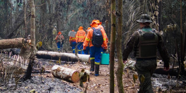 Governo de RO intensifica o combate às queimadas com educação ambiental e fiscalizações