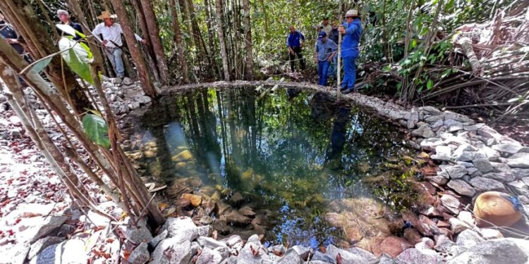 Governo de RO realiza visita técnica ao Projeto de Desenvolvimento Sustentável da Bacia do Rio Palmeiras