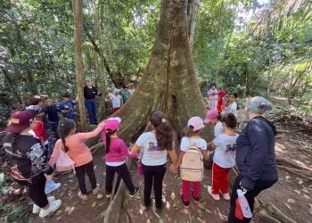 Governo de RO amplia ações de educação ambiental e reforça combate às queimadas com quase 10 mil pessoas alcançadas
