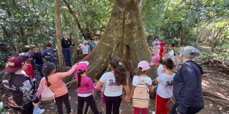Governo de RO amplia ações de educação ambiental e reforça combate às queimadas com quase 10 mil pessoas alcançadas Governo de RO amplia ações de educação ambiental e reforça combate às queimadas com quase 10 mil pessoas alcançadas