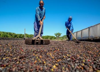 Inscrições para o 10º ConCafé são prorrogadas até o dia 29 de agosto