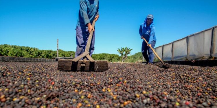 Inscrições para o 10º ConCafé são prorrogadas até o dia 29 de agosto Inscrições para o 10º ConCafé são prorrogadas até o dia 29 de agosto