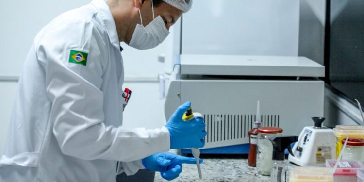 Campanha amplia coleta de DNA em Rondônia; mobilização é intensificada entre os dias 5 e 15 de agosto Campanha amplia coleta de DNA em Rondônia; mobilização é intensificada entre os dias 5 e 15 de agosto