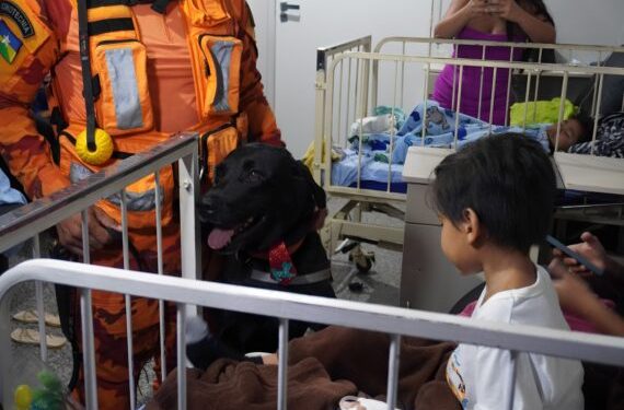 Alegria e carinho são levados a pacientes do Hospital Infantil Cosme e Damião por meio de Terapia Assistida por Animais