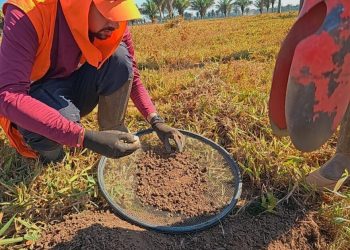 Pesquisas arqueológicas são realizadas para garantir preservação cultural durante pavimentação da RO-420