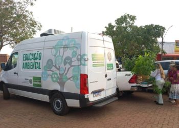 Mobilizações ambientais alusivas ao Dia Mundial da Limpeza e da Árvore acontecem neste fim de semana, em Porto Velho