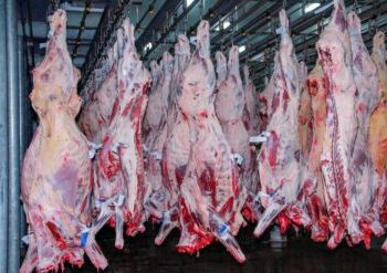 Referência em defesa sanitária agropecuária, Rondônia é destaque também no cenário econômico, com aumento de 17,5% nas exportações de carne bovina