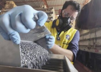 Fiscalização para combater fraudes na comercialização de sementes é intensificada pelo governo de RO