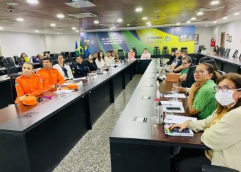 Diagnóstico da Primeira Infância é apresentado durante reunião do Comitê Estadual Intersetorial de Políticas Públicas