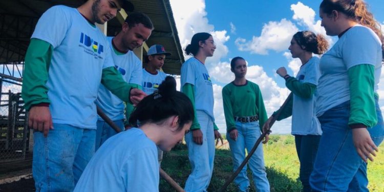 Dia do Técnico Agrícola é celebrado com vasta programação, em Pimenta Bueno