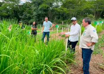 Programa estadual fortalece pecuária leiteira e aumenta produtividade na agricultura familiar em Rondônia Programa estadual fortalece pecuária leiteira e aumenta produtividade na agricultura familiar em Rondônia