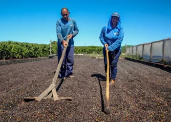 Governo de RO comemora o Dia Mundial da Agricultura e destaca a força do campo no desenvolvimento do estado