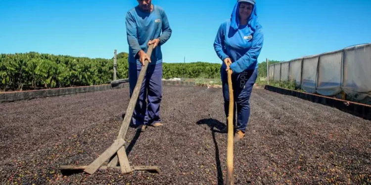 Governo de RO comemora o Dia Mundial da Agricultura e destaca a força do campo no desenvolvimento do estado
