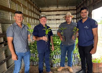 Emendas do deputado Pedro Fernandes fortalecem produção com entrega de mudas de café em Rondônia
