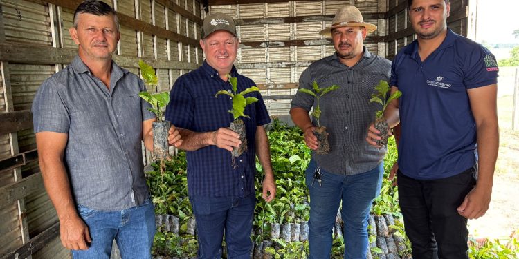Emendas do deputado Pedro Fernandes fortalecem produção com entrega de mudas de café em Rondônia