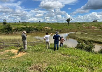 Monitoramento de áreas em recuperação ambiental no estado é intensificado pelo governo de RO