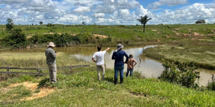 Monitoramento de áreas em recuperação ambiental no estado é intensificado pelo governo de RO Monitoramento de áreas em recuperação ambiental no estado é intensificado pelo governo de RO