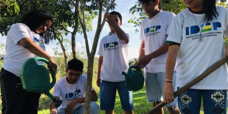 Educação profissional de Rondônia atrai estudantes de outros estados interessados em cursos técnicos voltados ao agronegócio