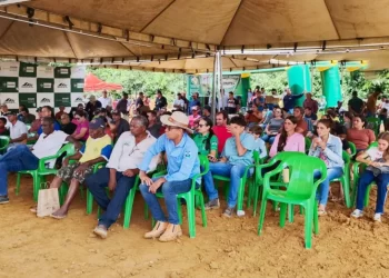 Tecnologia, manejo eficiente e assistência técnica elevam o padrão da cafeicultura em Rondônia Tecnologia, manejo eficiente e assistência técnica elevam o padrão da cafeicultura em Rondônia