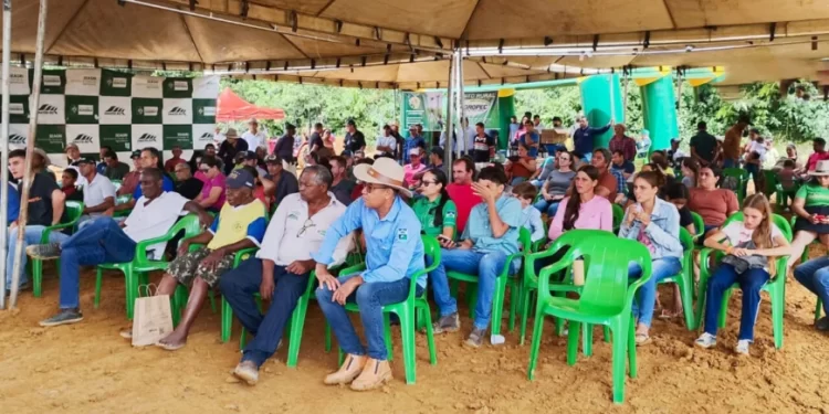 Tecnologia, manejo eficiente e assistência técnica elevam o padrão da cafeicultura em Rondônia