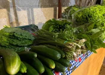 Governo de RO fortalece agricultura familiar por meio do edital PAA Rondônia 2026