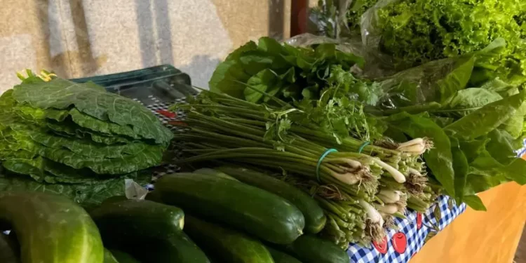 Governo de RO fortalece agricultura familiar por meio do edital PAA Rondônia 2026