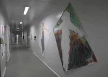 Arte e inclusão marcam exposição de pacientes com TEA no Centro de Reabilitação de Rondônia