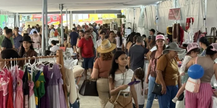 Artesanato rondoniense ganha destaque e amplia oportunidades de renda na 13ª Rondônia Rural Show Internacional Artesanato rondoniense ganha destaque e amplia oportunidades de renda na 13ª Rondônia Rural Show Internacional