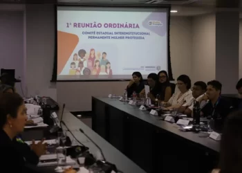 Ações do governo de RO para o combate à violência doméstica são destacadas em reunião do Comitê Estadual Mulher Protegida