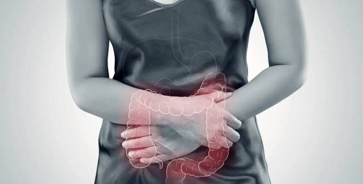 Saiba como o equilíbrio digestivo impacta emoções e cognição