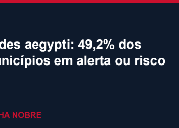 Aedes aegypti: quase metade dos municípios brasileiros está em alerta ou risco